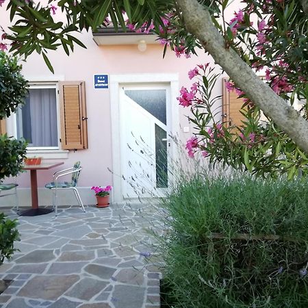 Apartmani Vesna Buje Extérieur photo