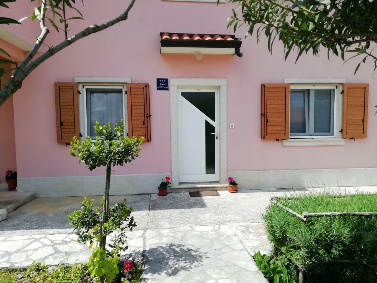 Apartmani Vesna Buje Extérieur photo